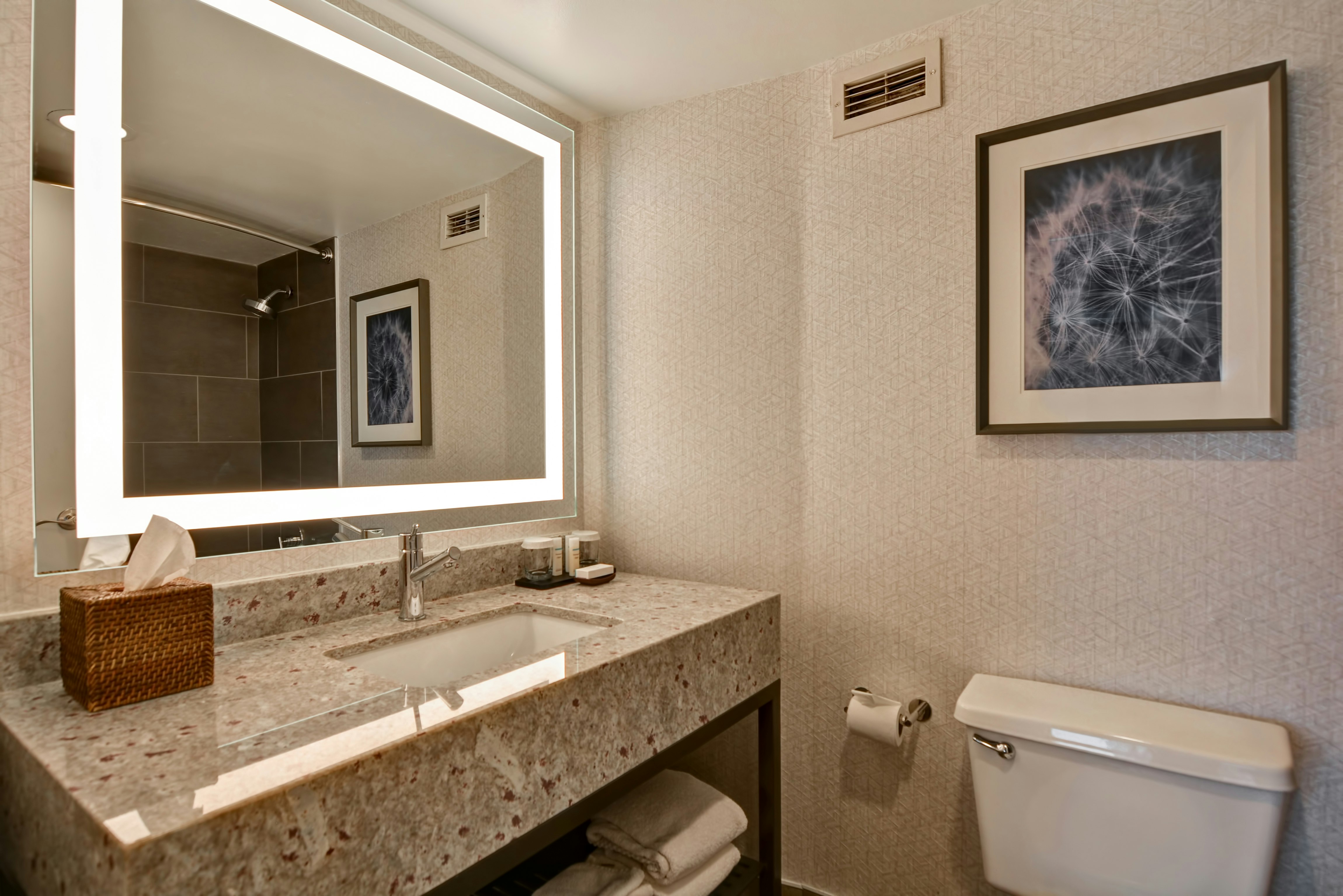 جناح ركني بسرير كينج بغرفة نوم واحدة، Embassy Suites by Hilton Minneapolis Airport 2/3