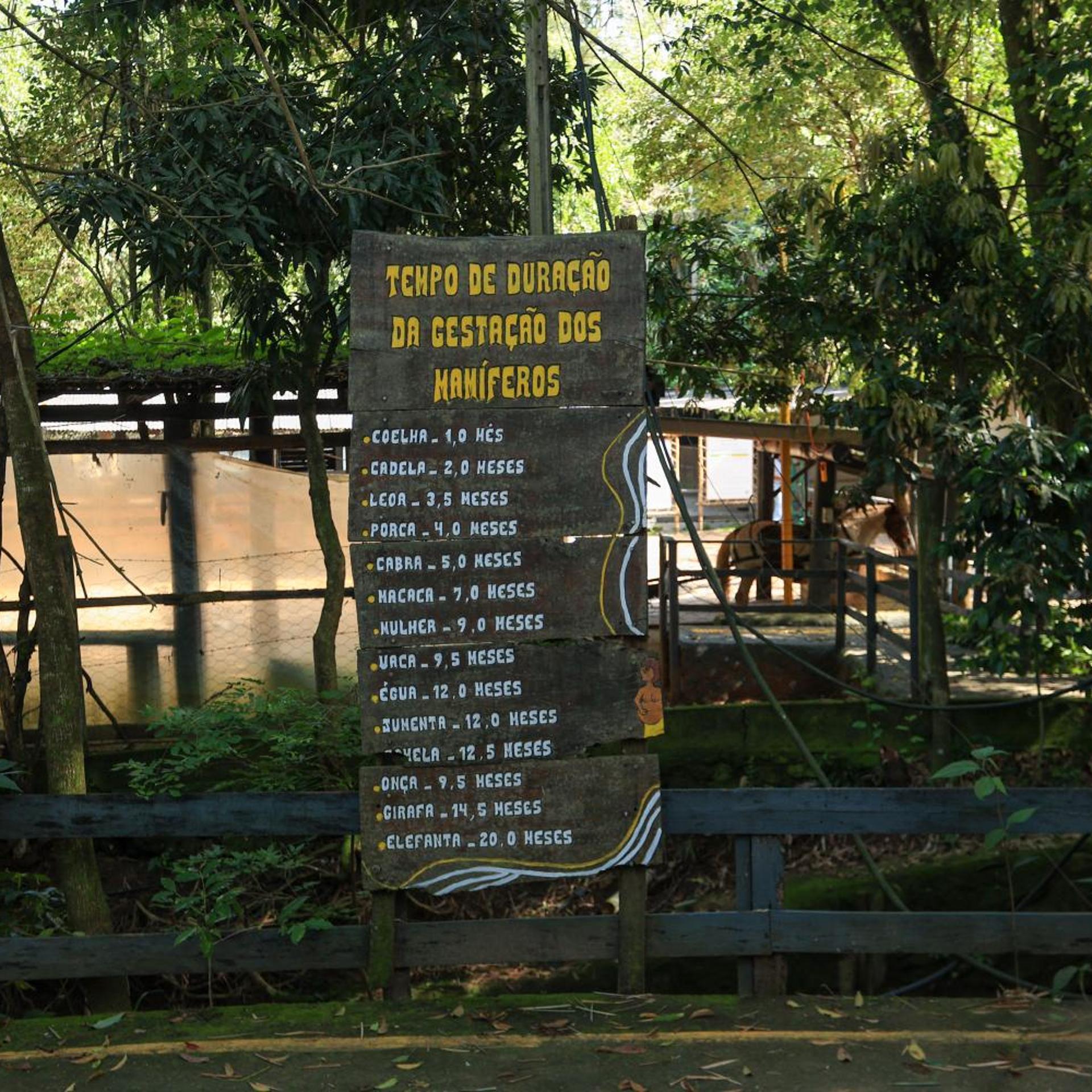 Hotel Fazenda Campo dos Sonhos 6/50