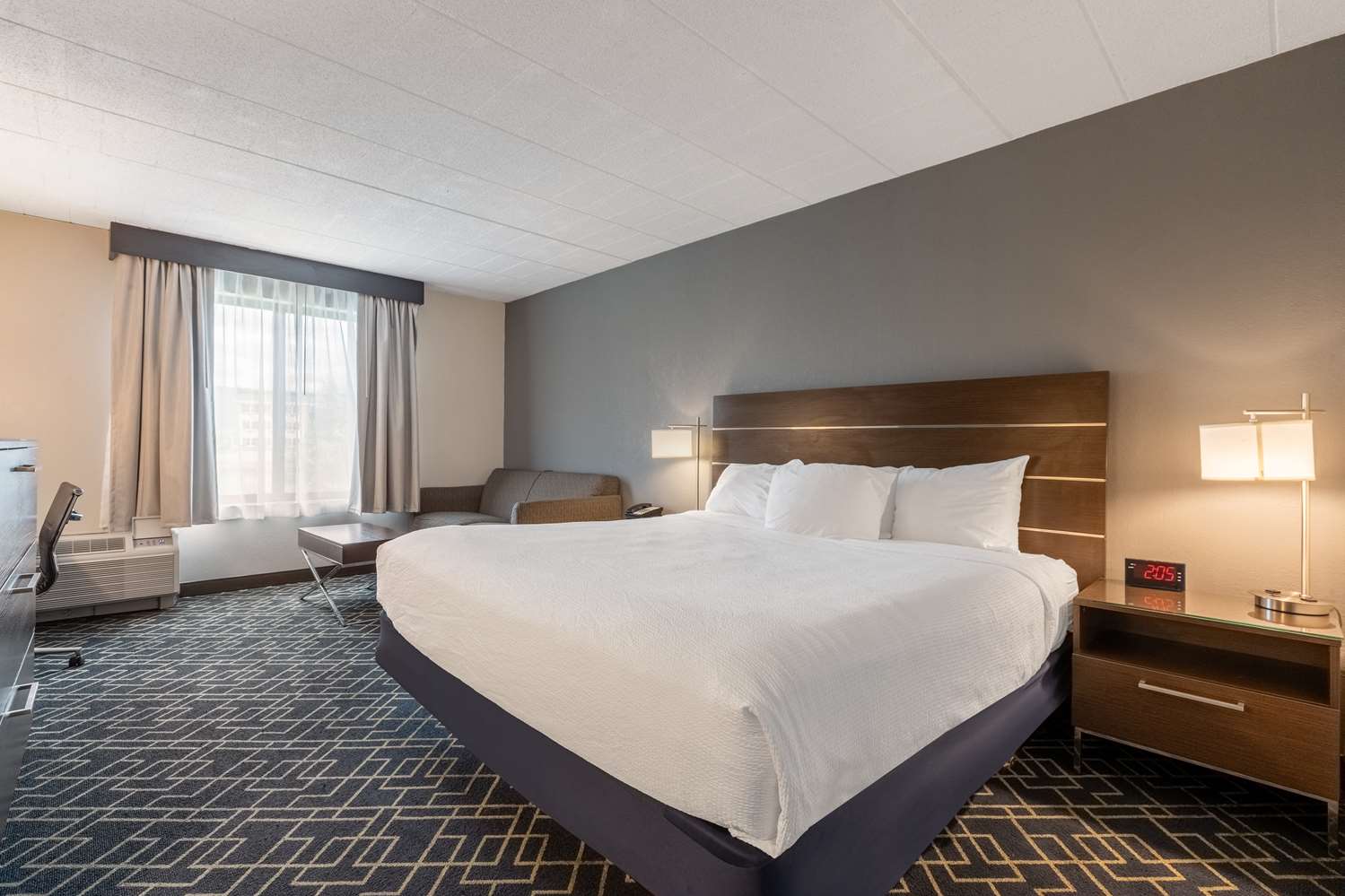 Room, King Bed