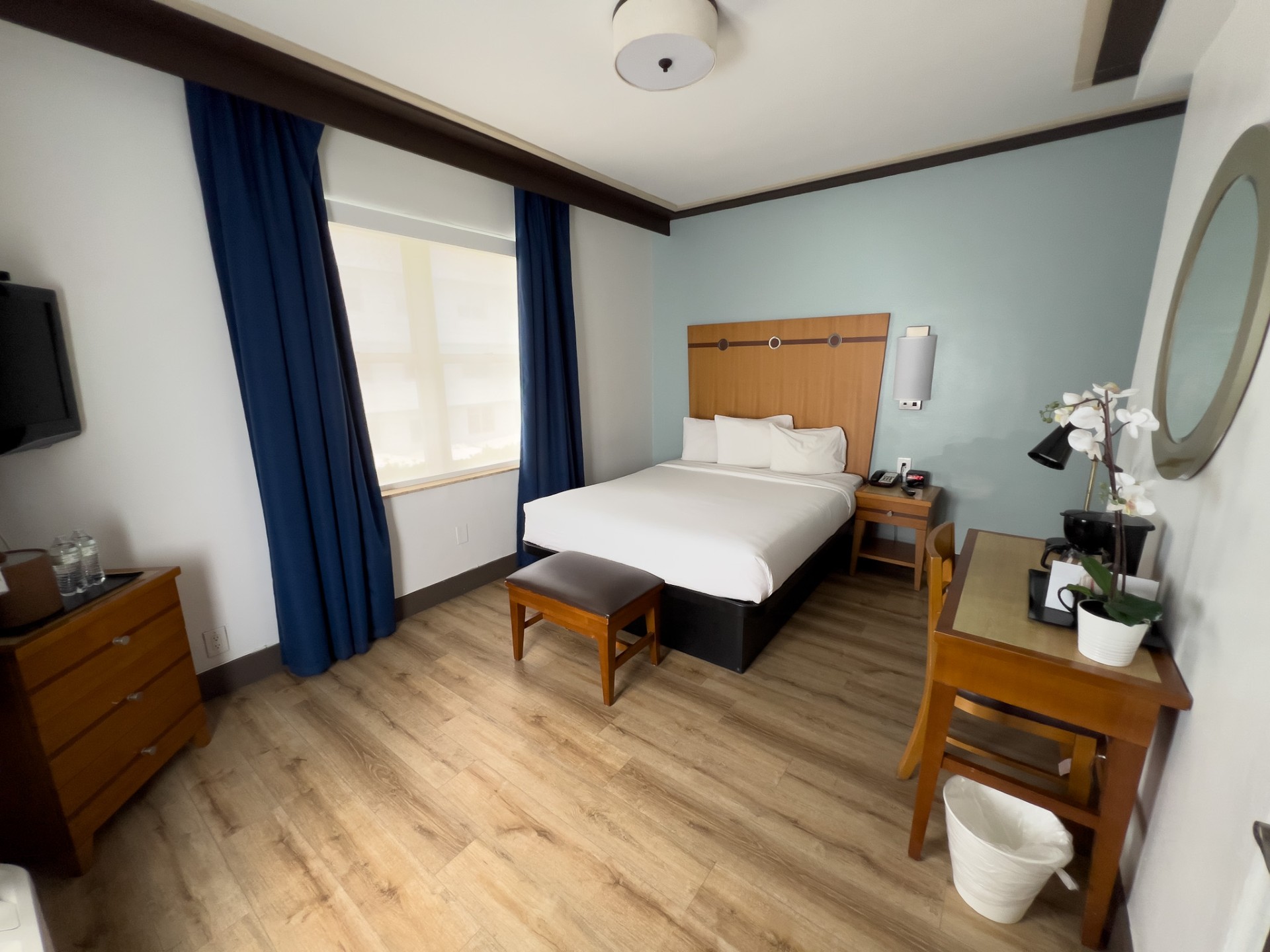 Room, Queen Bed