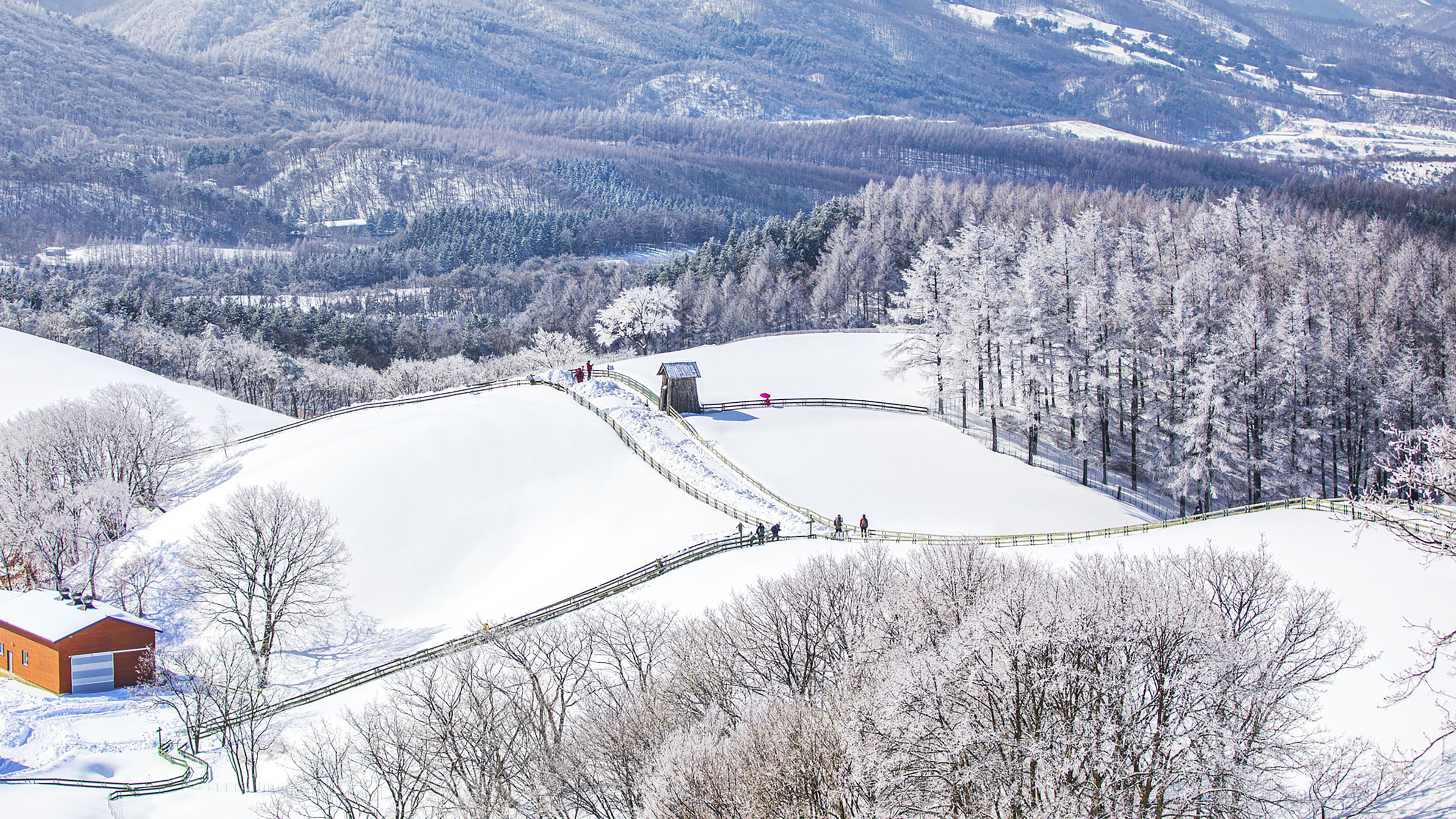 Holiday Inn Resort Alpensia Pyeongchang 69/73