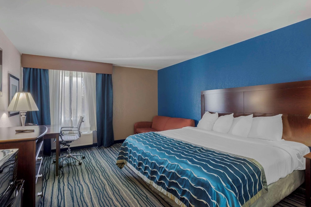 Junior Suite, King Bed