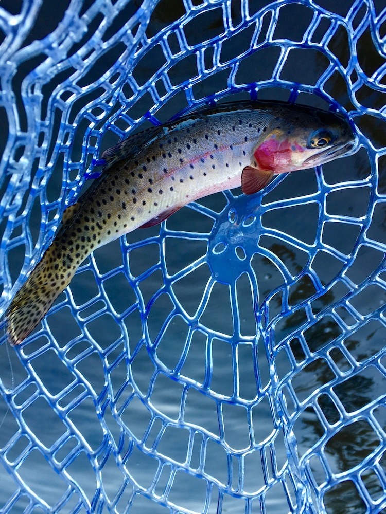 4 Seasons Inn on Fall River 28/76