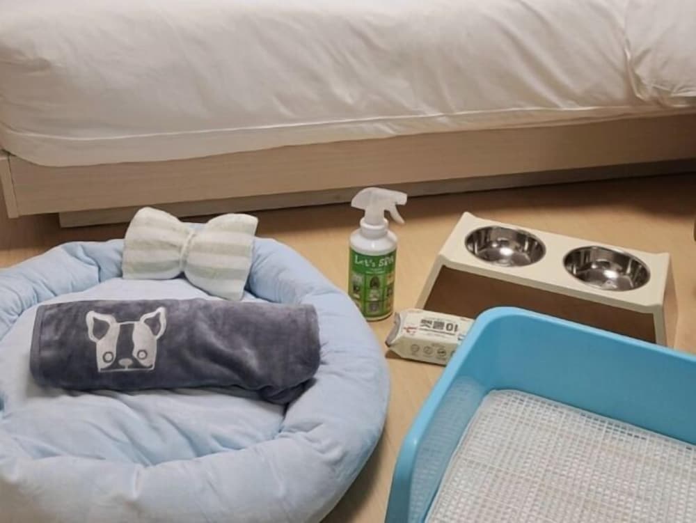 DELUXE, DOUBLE BED, CITY VIEW, PET FRIENDLY