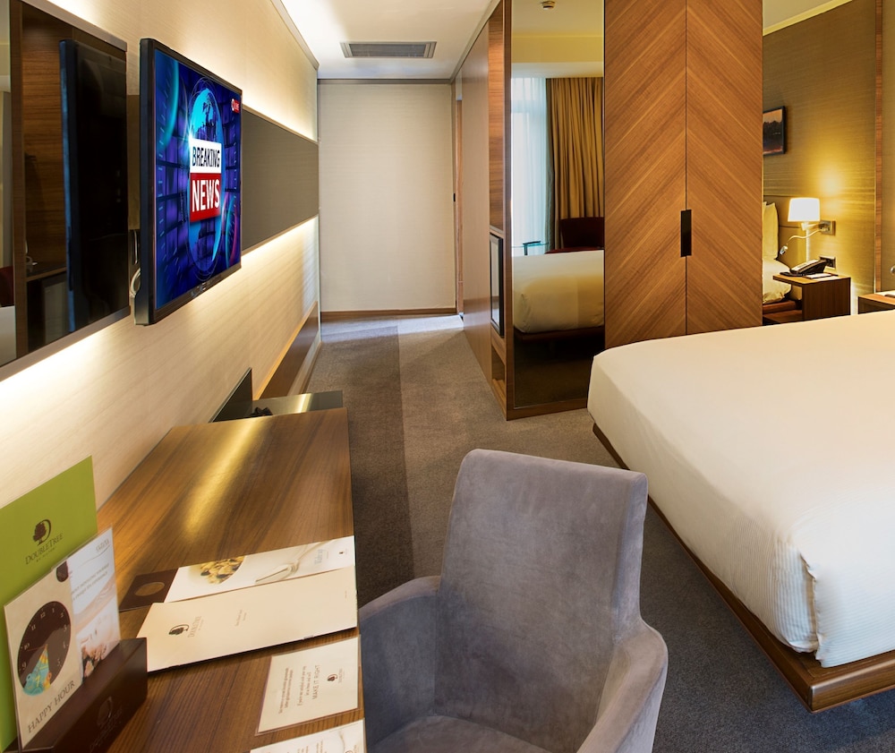 DoubleTree by Hilton Istanbul - Old Town 20/55