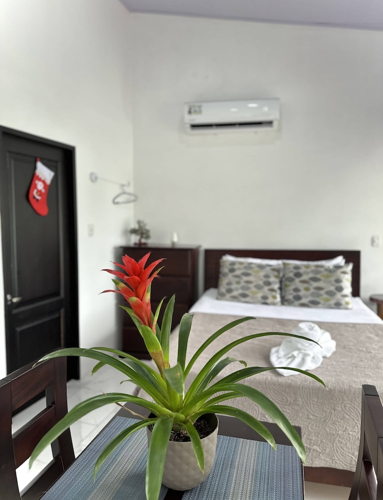 Hotel Serendipity 41/61