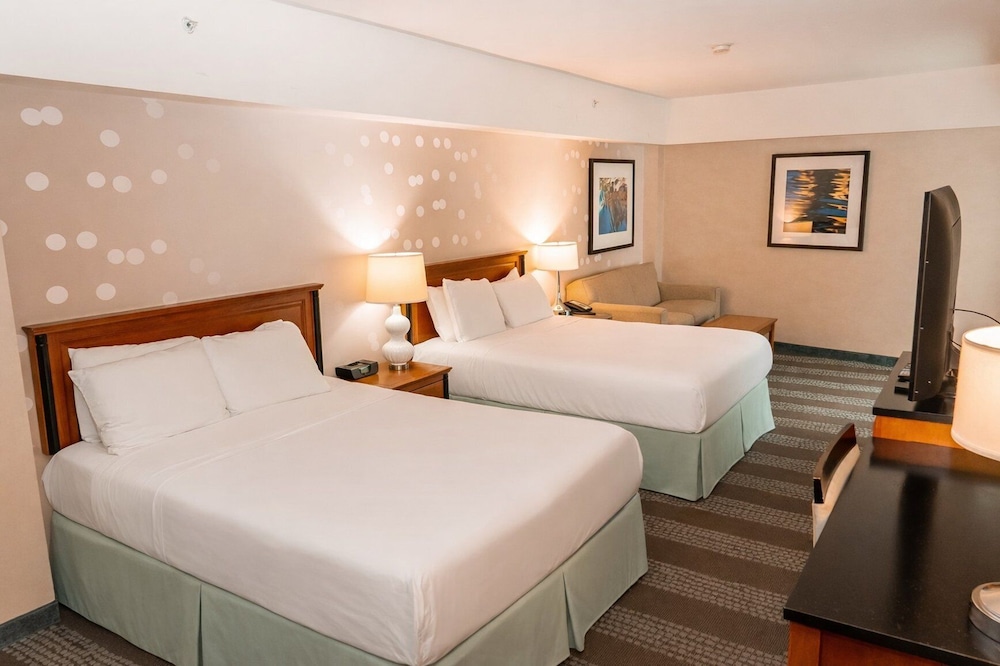 Standard, Multiple Beds