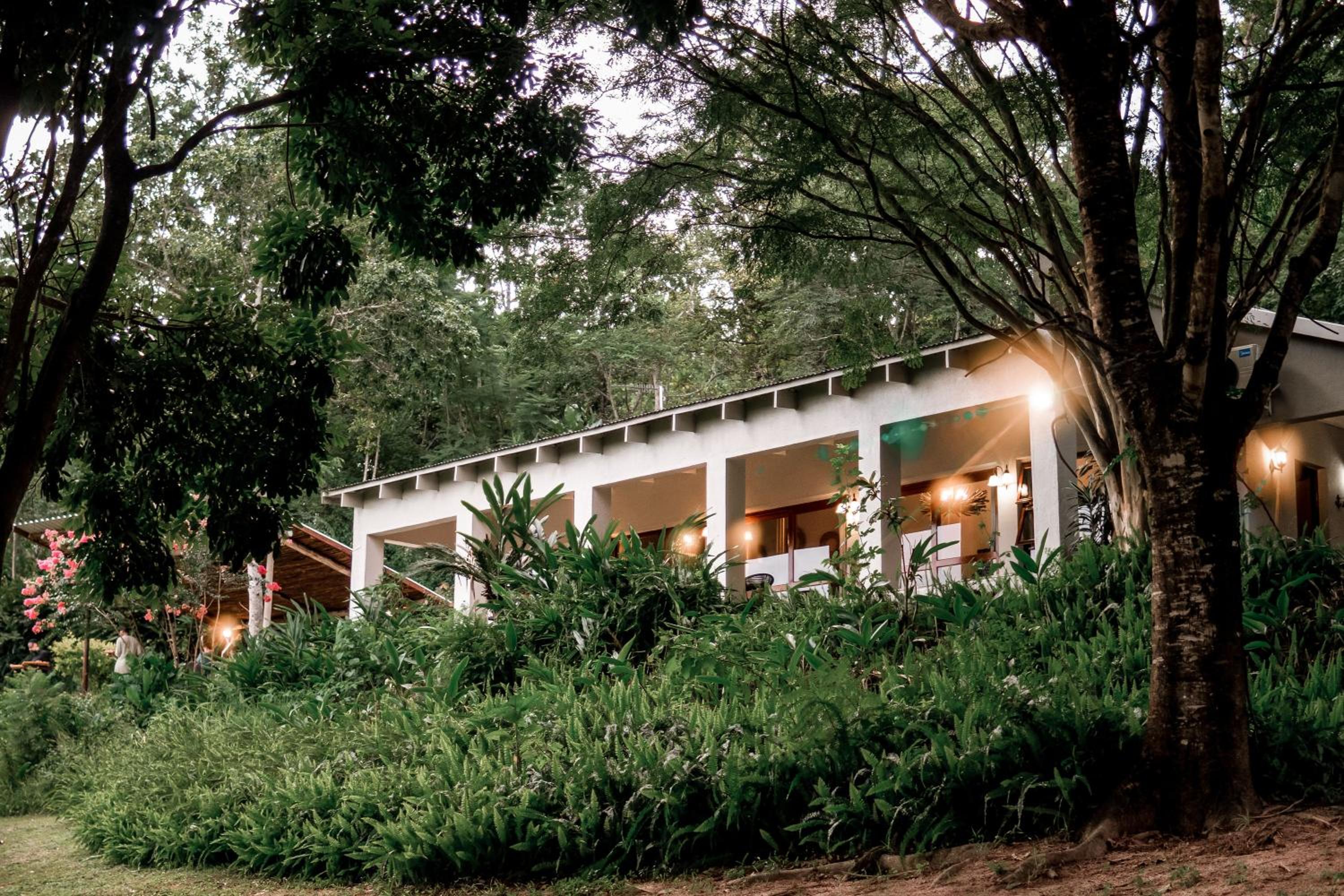 bushbaby valley lodge