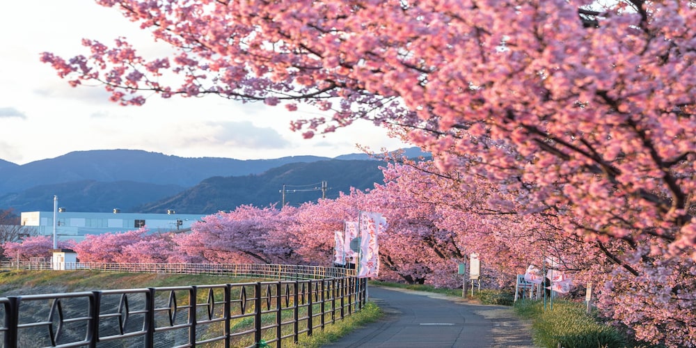 Kamenoi Hotel Yaizu 44/50