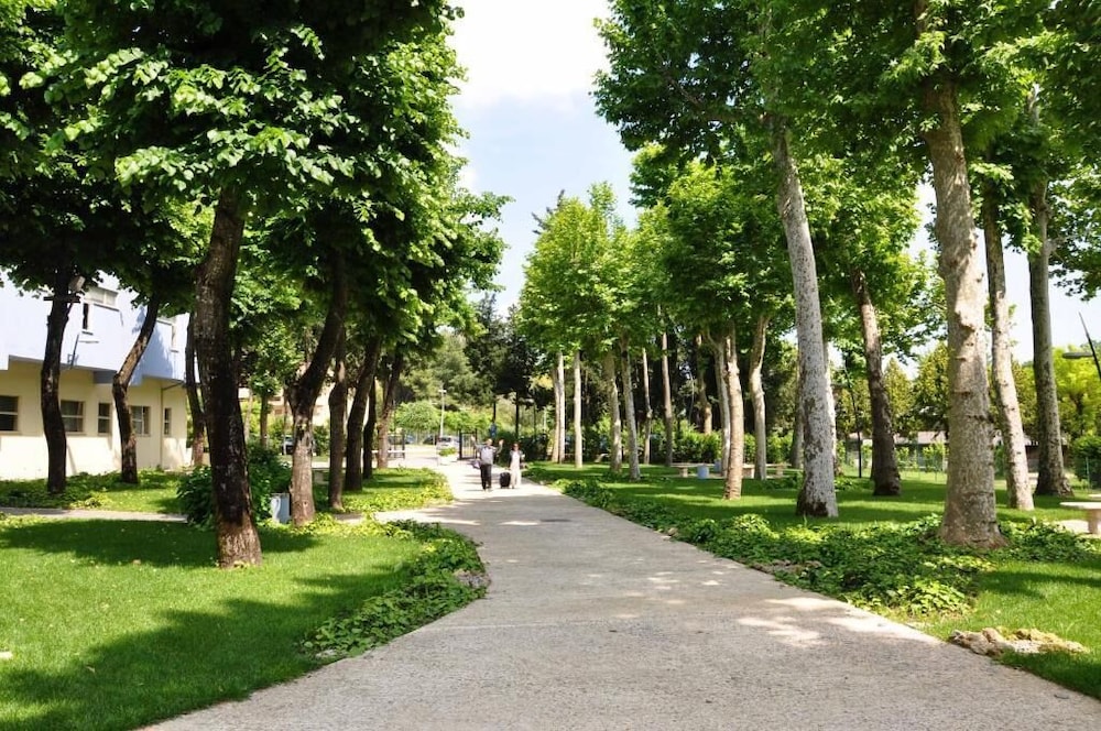 surroundings