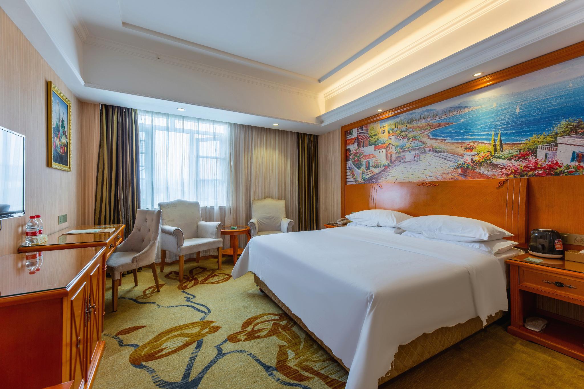 Vienna Hotel (Enshi Hangkong Avenue) 29/46