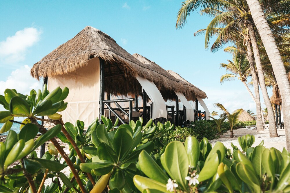El Dorado Royale A Spa Resort All Inclusive in PLAYA DEL CARMEN