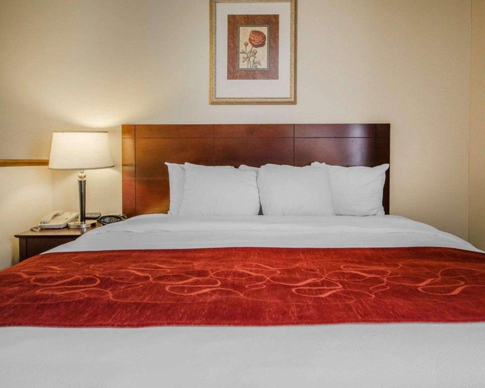 Suite, Queen Bed, Accessible