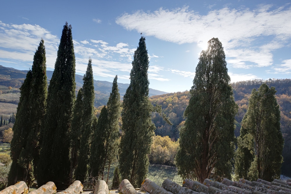Terre Di Baccio 41/45