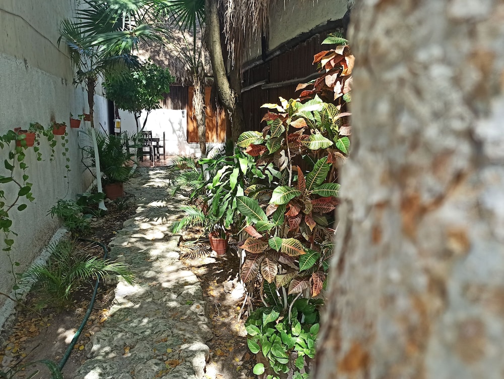 Nativos Tulum Hotel Boutique 27/35