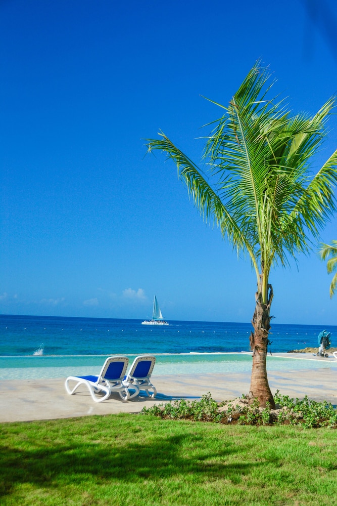 Viva Dominicus Beach by Wyndham, A Trademark All Inclusive 35/50