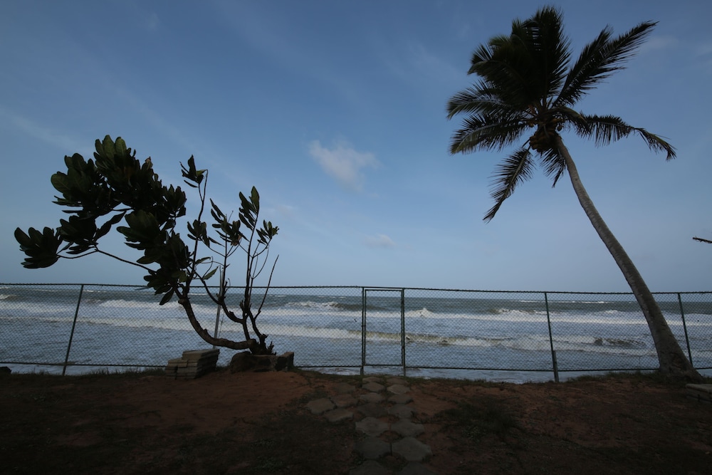 Ocean Of Life Ayurvedic Resort 37/44