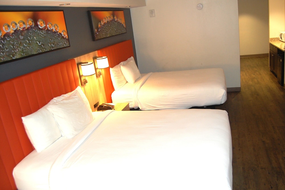 Vacation Lodge 25/65