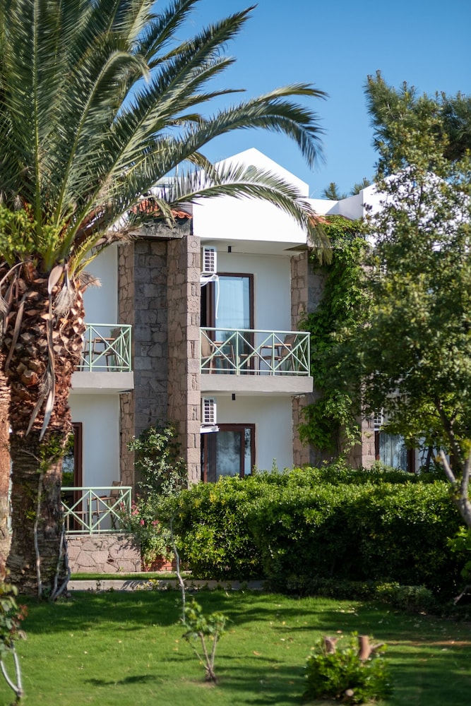 Assos Troy Otel 43/50