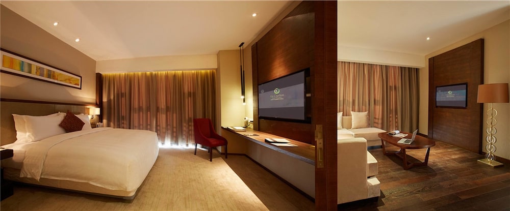 Lia Charlton Hotel Shenzhen 7/48