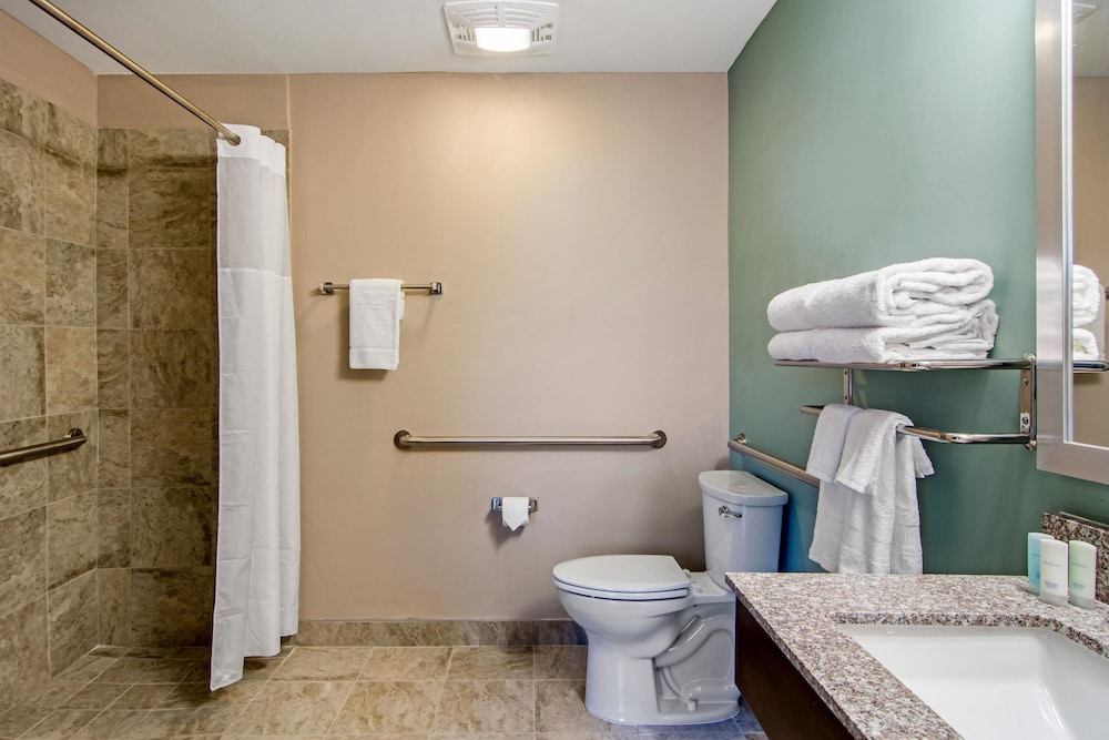 غرفة بسرير كينج لذوي الإعاقة، Clarion Inn & Suites Atlanta Downtown 3/5