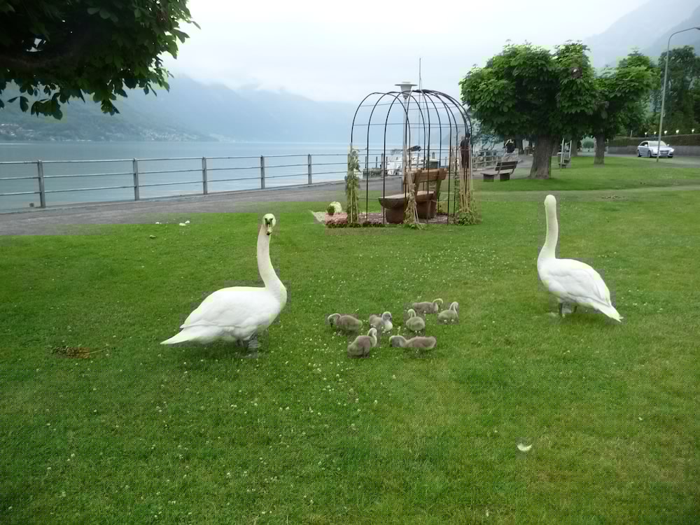 Seiler Au Lac Hotel 57/72