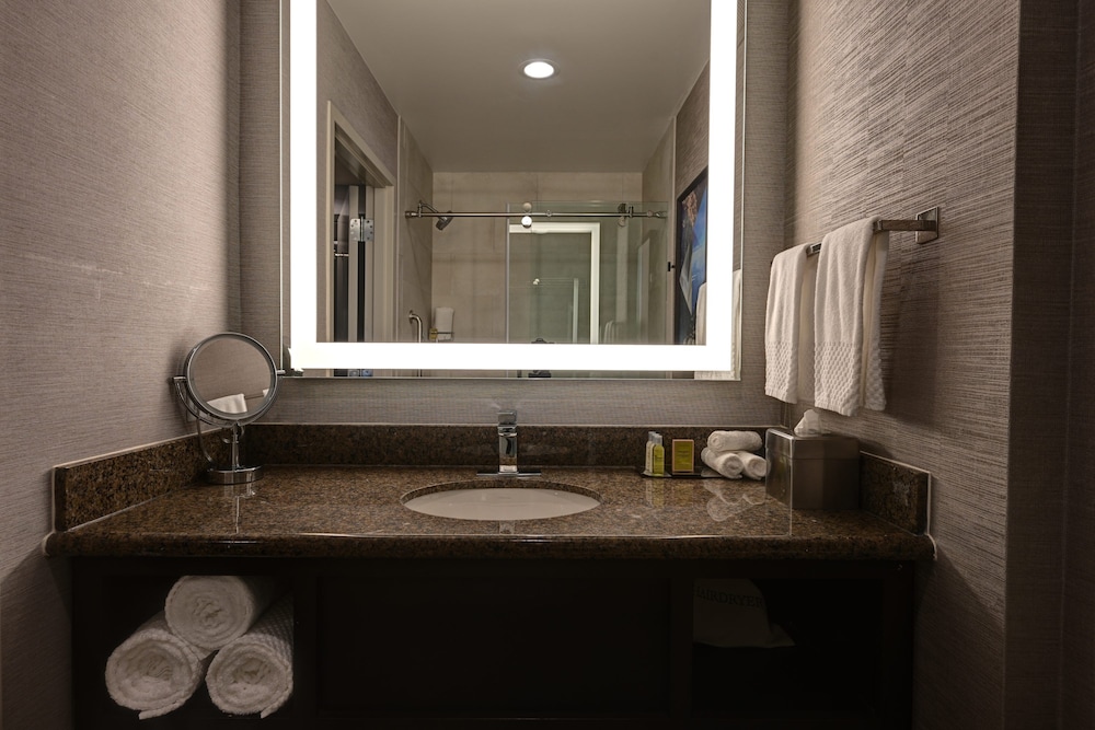 DoubleTree by Hilton Denver International Airport (ex. Holiday Inn Hotel And Suites) 20/45