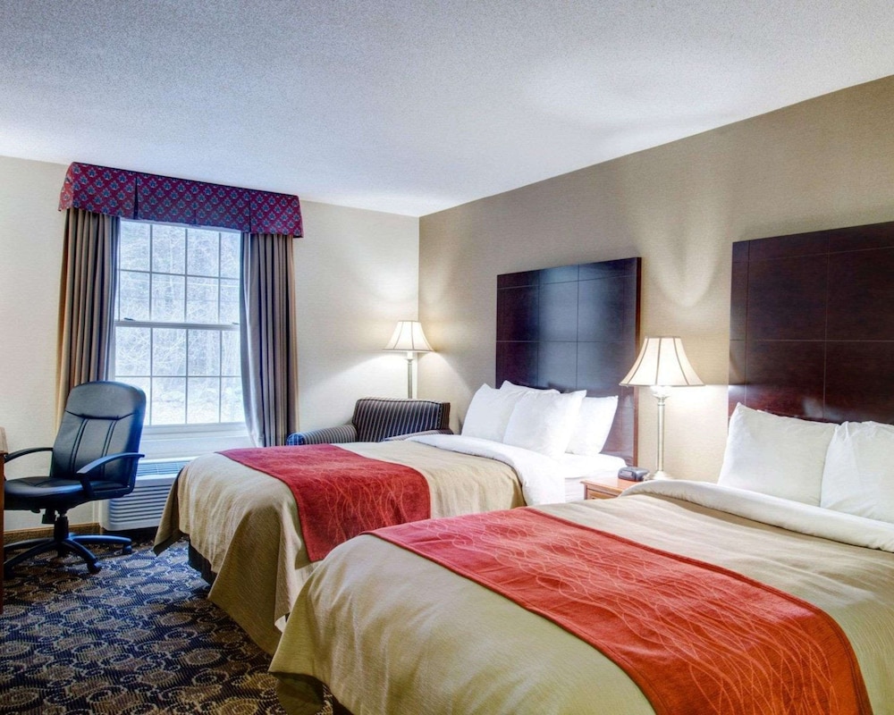Comfort Inn Foxboro - Mansfield 11/38