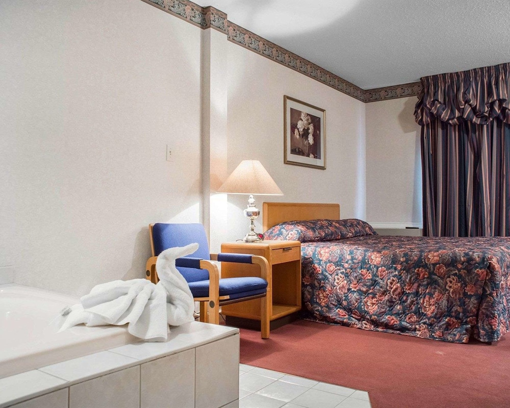 Econo Lodge By The Falls 15/24