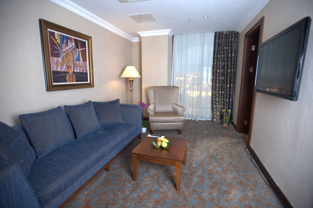 Wellborn Luxury Hotel 26/47