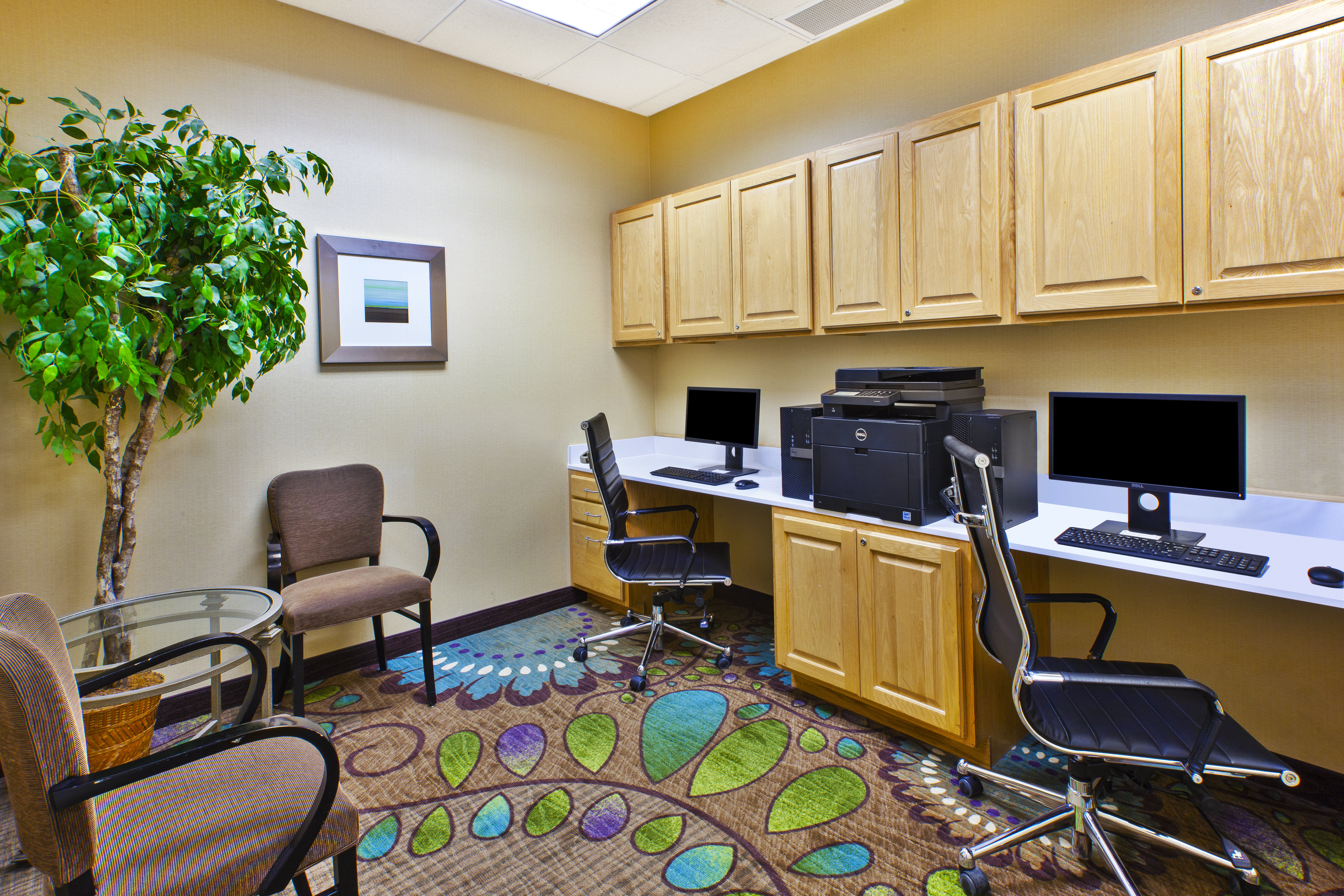 Holiday Inn Hotel Suites Bolingbrook 50/66