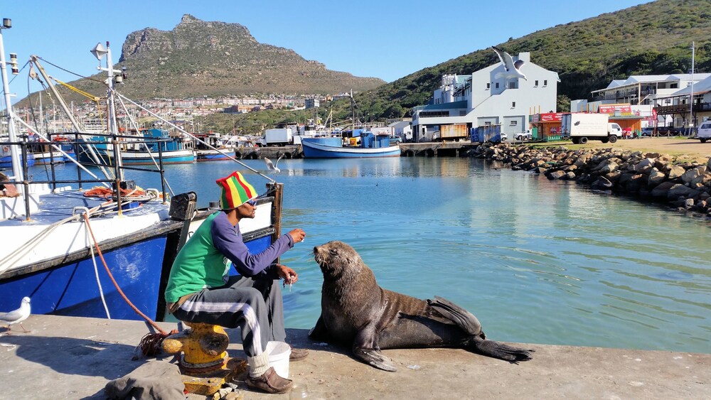 Hout Bay Beach Cottage 36/49