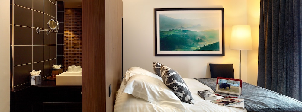 Hotel Mercure Villefranche sur Saone 19/70