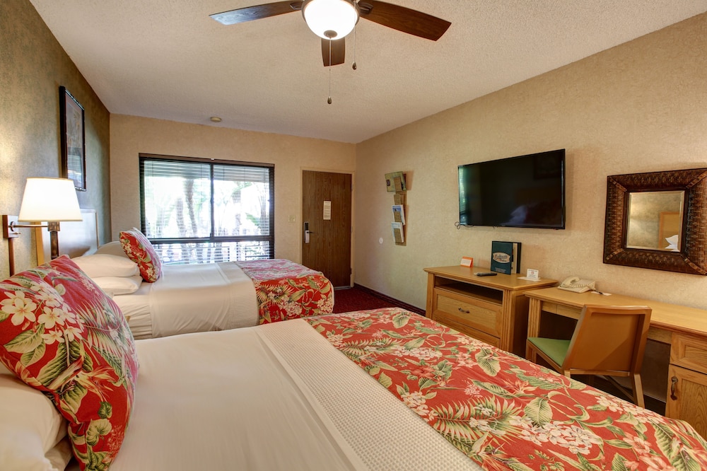 Caliente Tropics Hotel 21/34