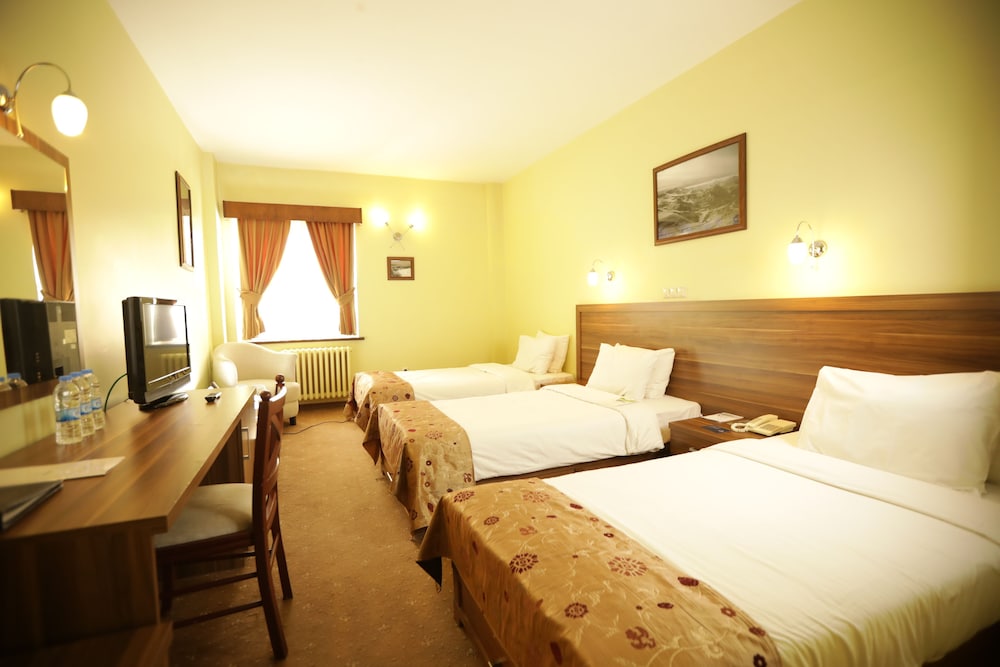 Dedeman Palandoken Hotel 4/50