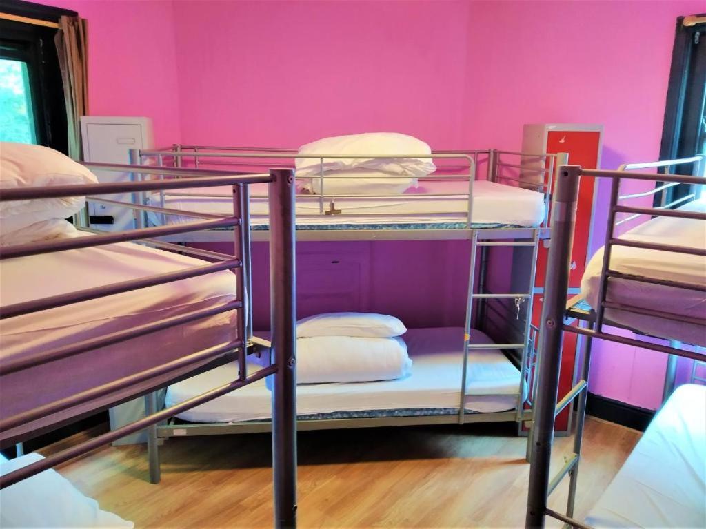 Phoenix Hostel 6/20