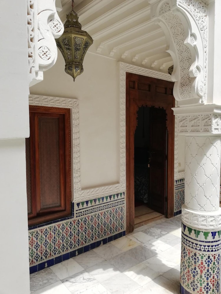 Riad Ben Youssef 13/50