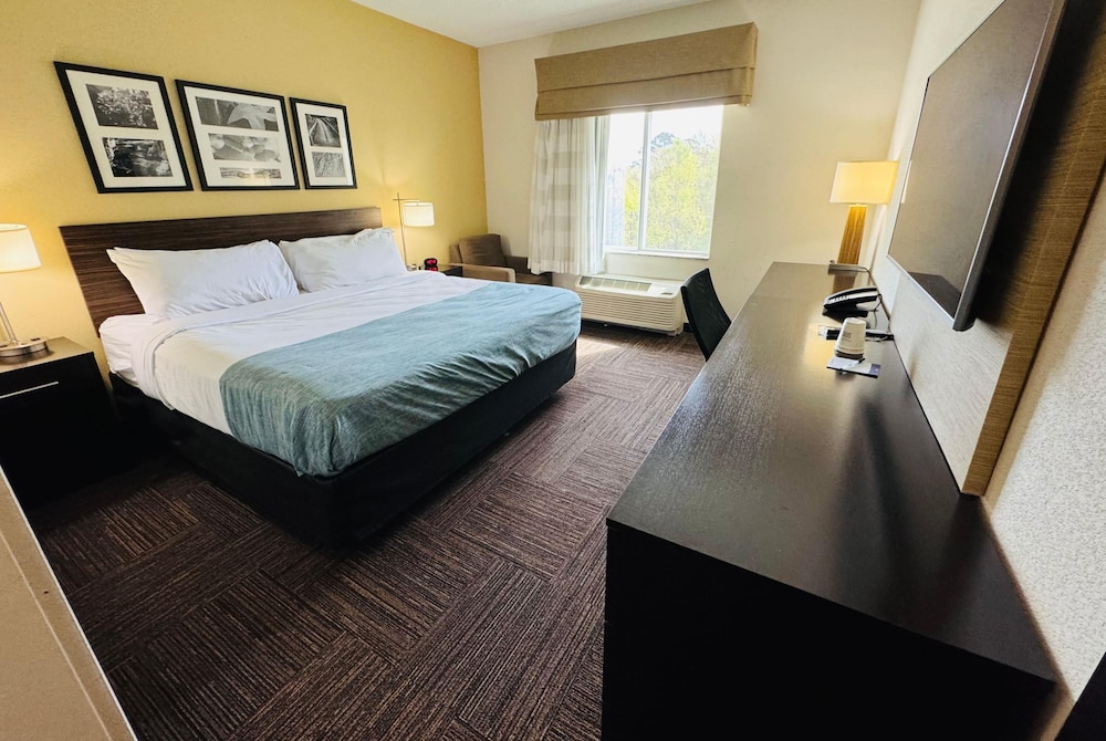 Room, King Bed