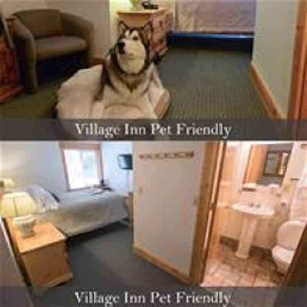 Crystal Mountain Hotels 12/50