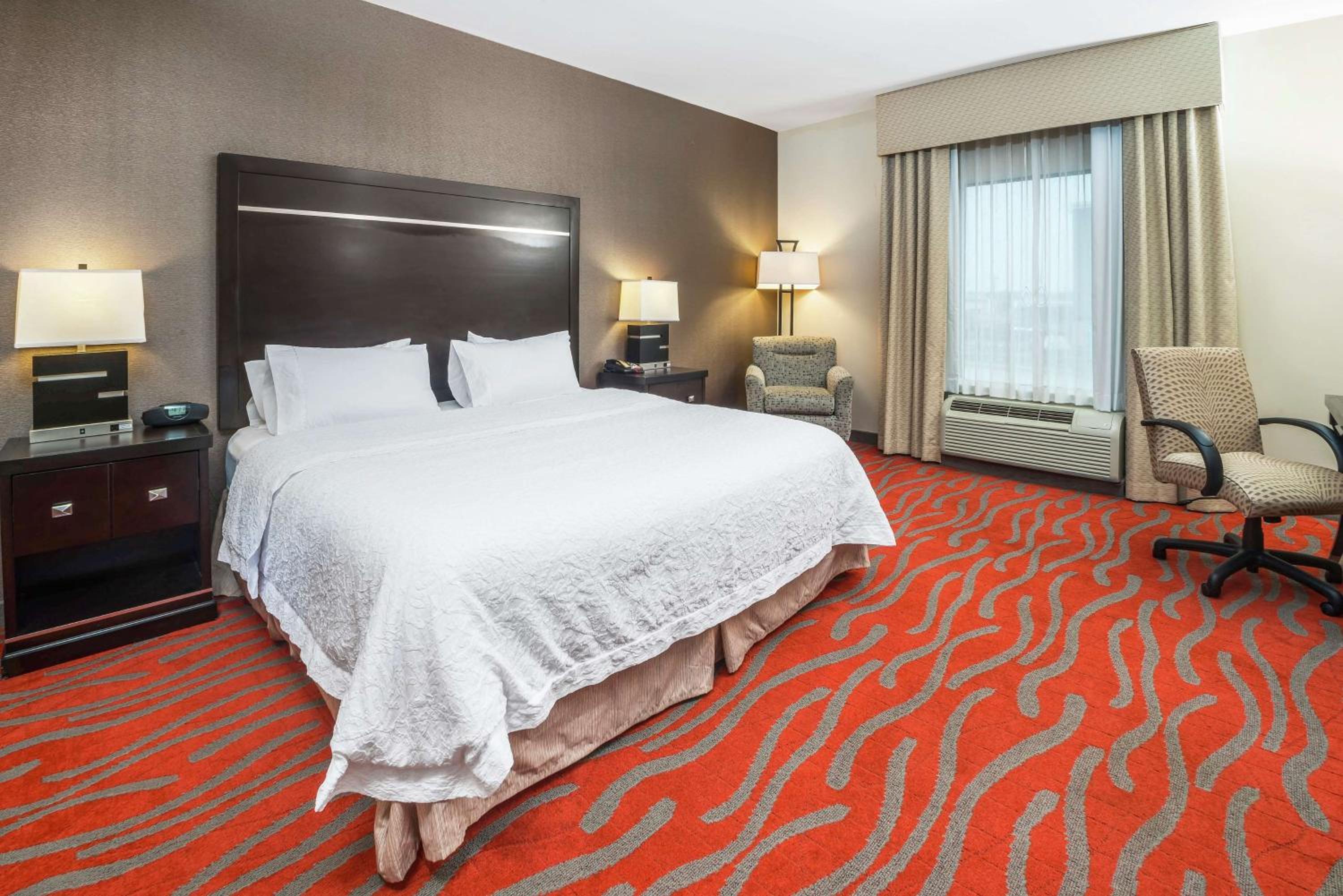 Studio, King Bed, Sofa, Accessible