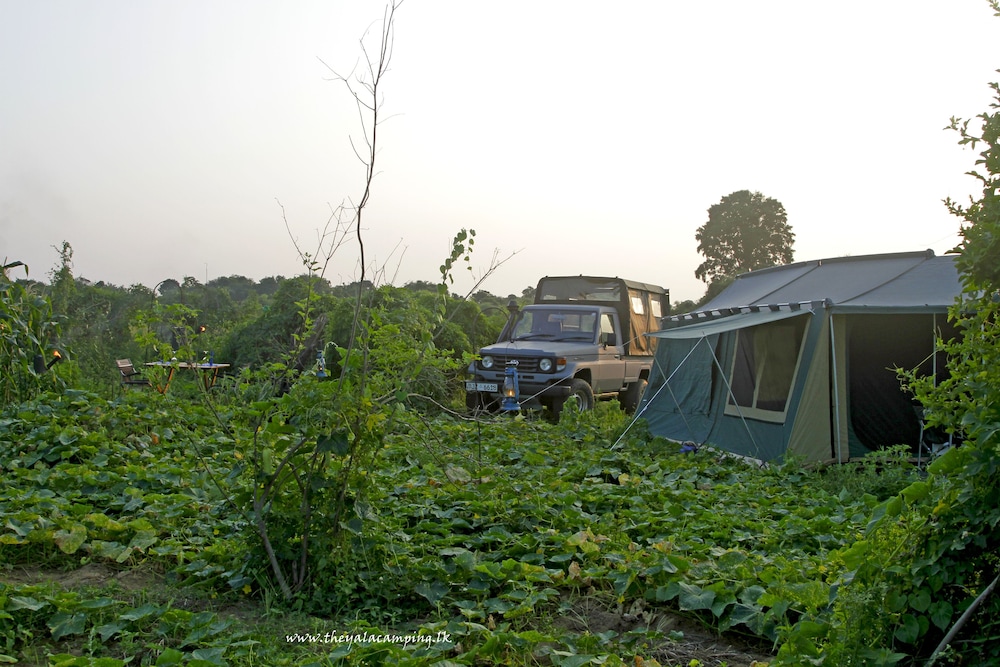 The Yala Camping 29/32