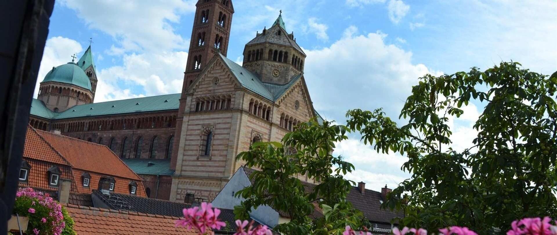 Hotel Domhof 45/50