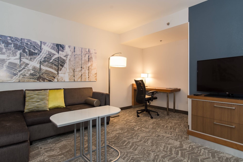 SpringHill Suites by Marriott Charlotte Ballantyne 33/52