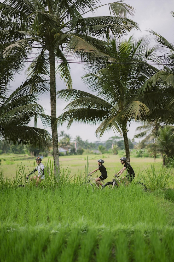 Alila Ubud 71/75