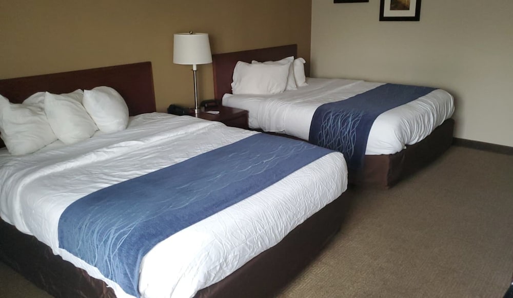 Room at Cambridge Inn by Capital O near I 70 or I 77, CAMBRIDGE - OH