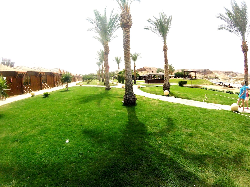 Xperience Golden Sandy Beach 33/50