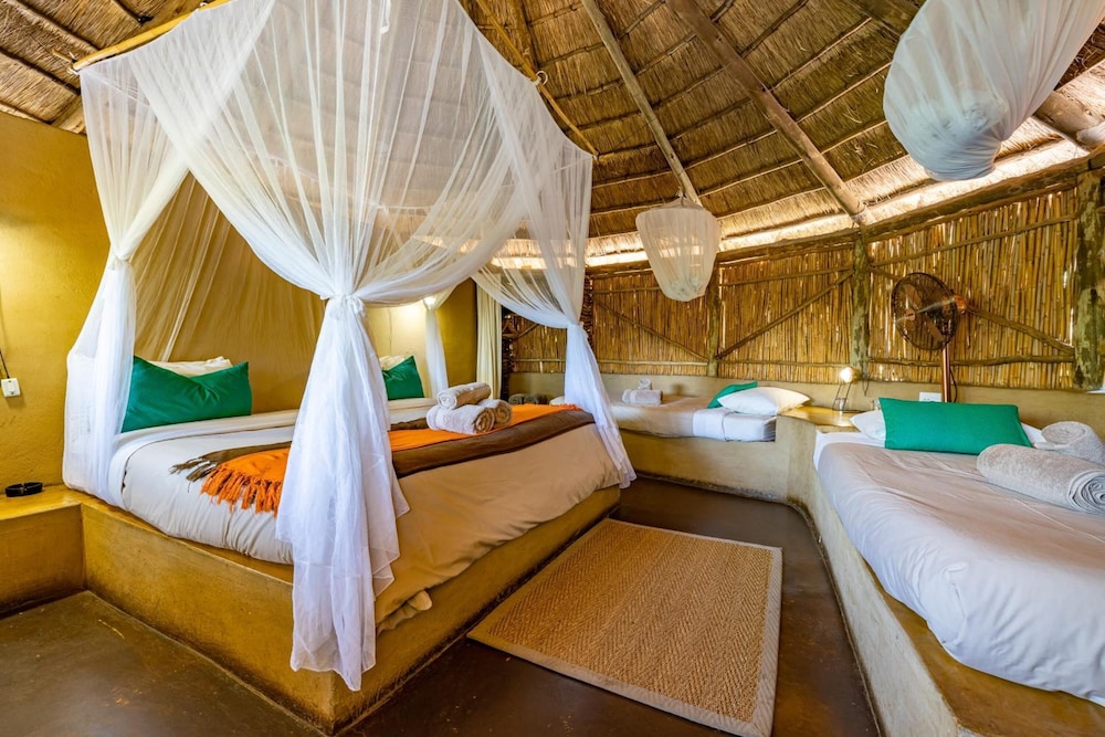 Umlani Bushcamp - Lodge 11/50