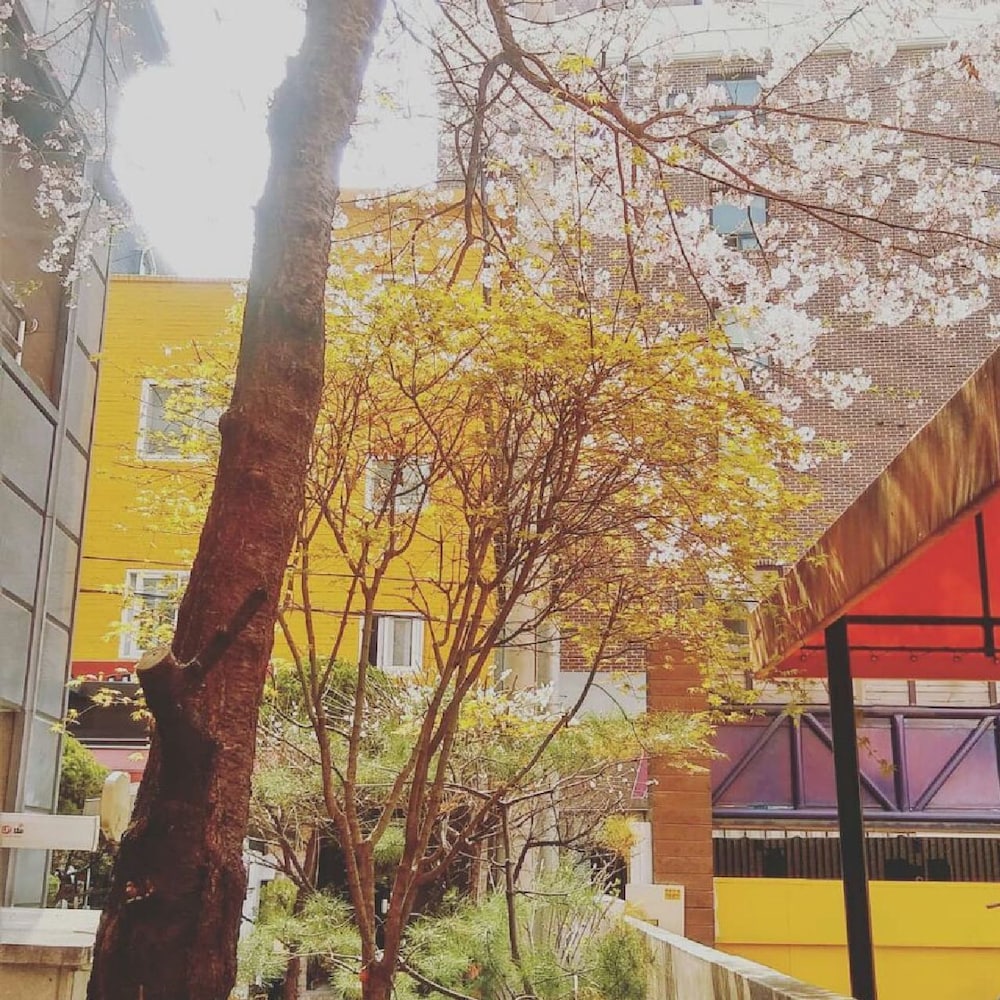 Oppa Hostel 47/50