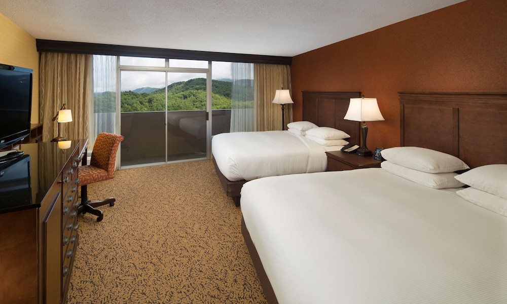 The Park Vista A Doubletree By Hilton Hotel Gatlinburg 7/39