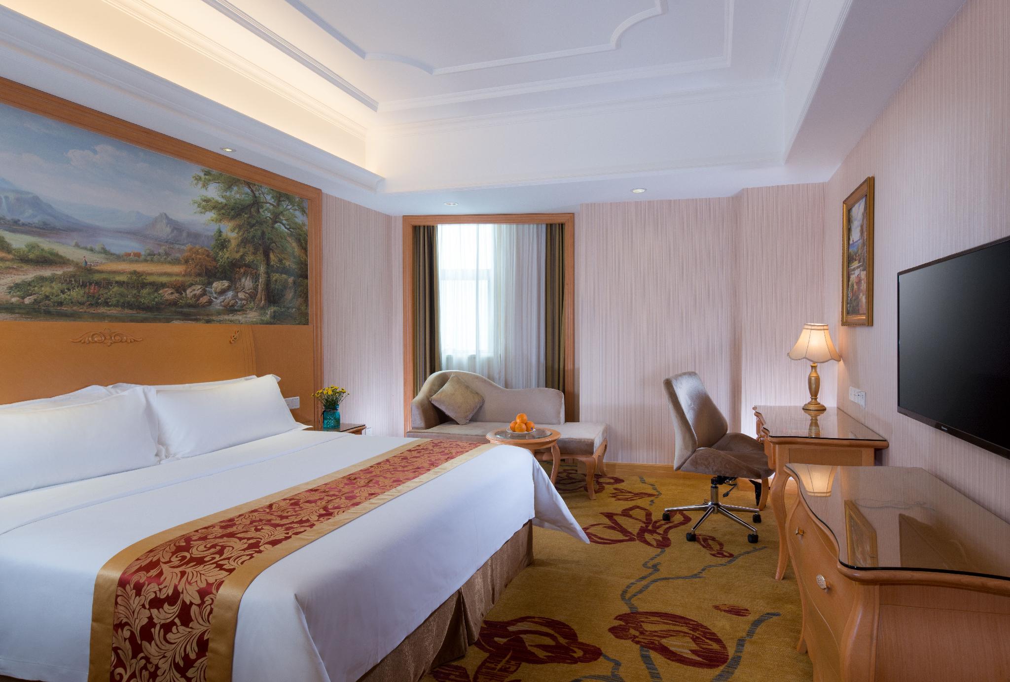 Vienna International Hotel (Shenzhen Guangqiao Road Tianliao) 19/34